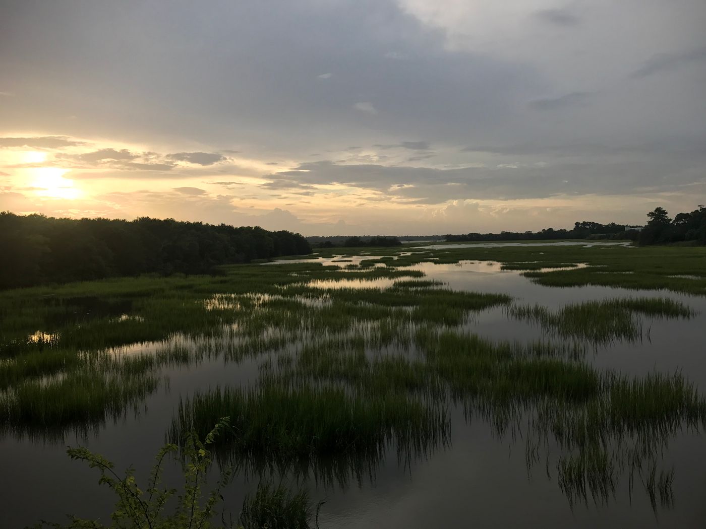 Marsh grass standing in high water at sunset