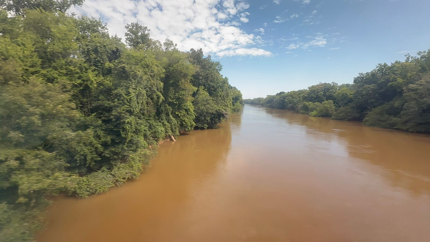 The wide, muddy Pee Dee River between densely wooded banks