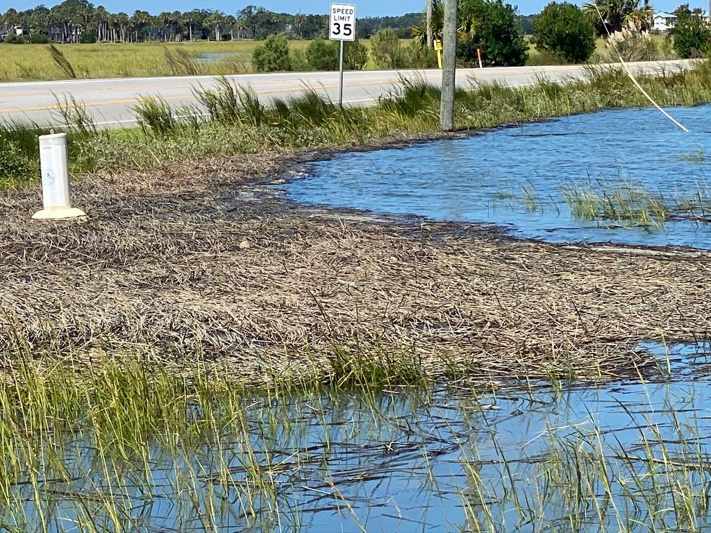 Tidal water spreading across marsh wrack to the edge of a road with a 35 mph sign