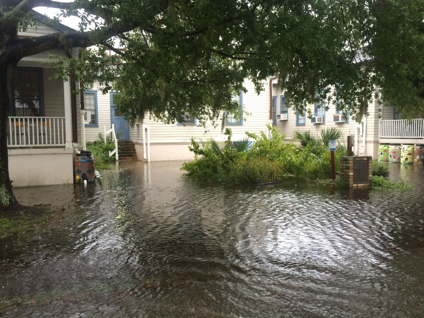 Floodwater covering a yard between wooden buildings under live oaks